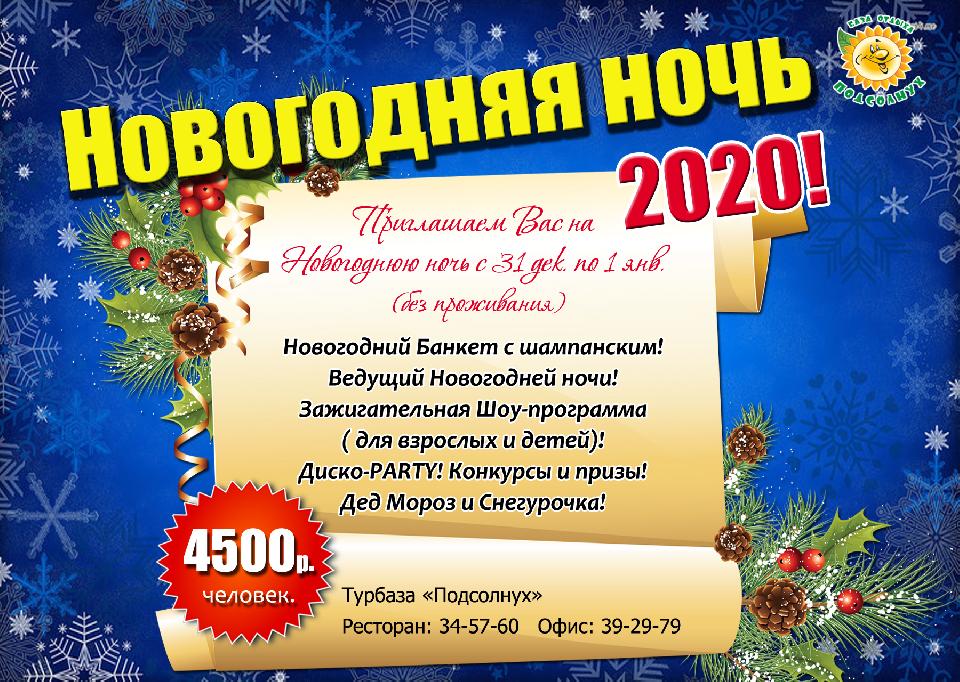 НОВОГОДНЯЯ НОЧЬ-2020!